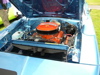 P1010021.JPG